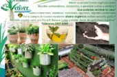 Agricultura orgánica urbana