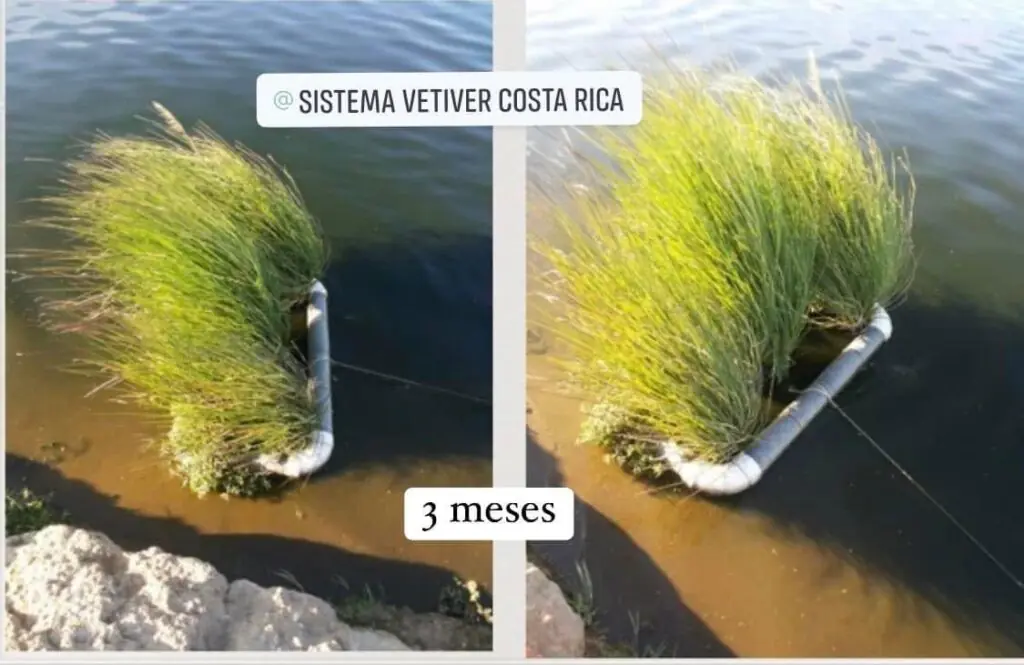 ilustrativo Primer Unidad Flotante: Laguna de estabilización facultativa PTAR- AyA Liberia, Guanacaste, Costa Rica 🇨🇷 ( Planta de Tratamiento de Aguas Residuales)