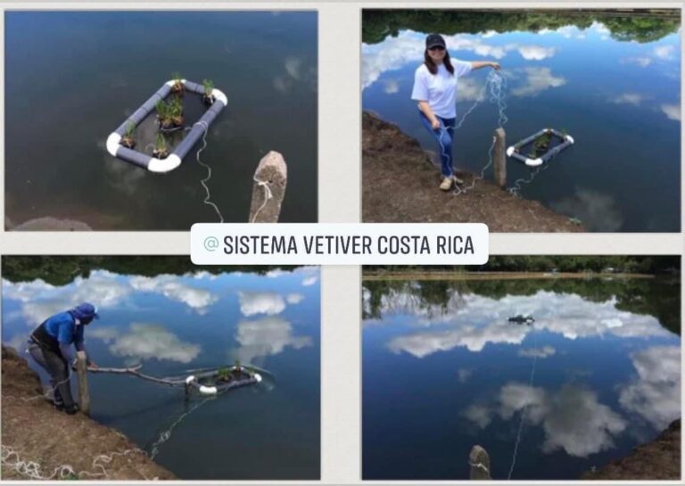 El Sistema Vetiver y las aguas contaminadas