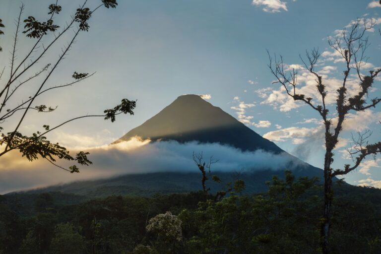 Bioingeniería con Vetiver: La solución natural que estabiliza montañas y protege aventuras extremas